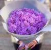 Букет из 25 сиреневых гвоздик
