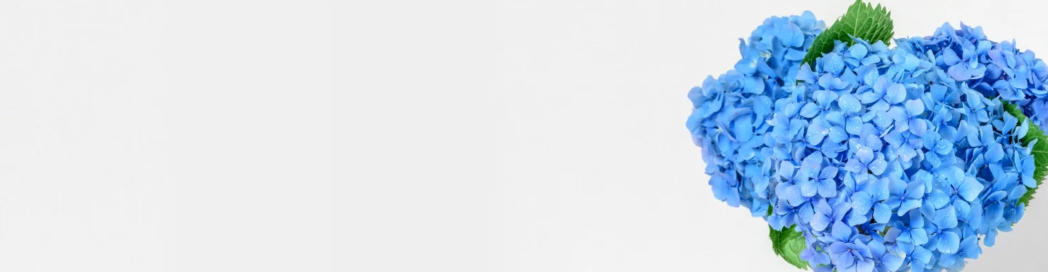 Кэшбэк до 12%