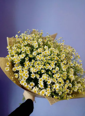 Танацетум от интернет-магазина цветов в 