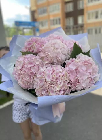 Букет из 7 гортензий от интернет-магазина цветов в 