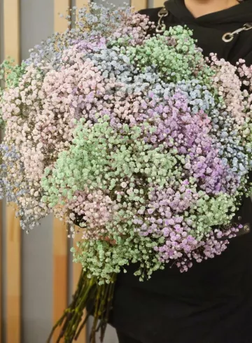 Гипсафила радужная от интернет-магазина цветов в 