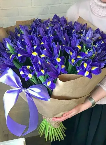 Букет из 75 ирисов от интернет-магазина цветов в 