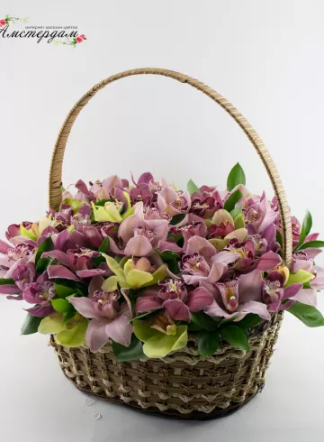 Корзина с из 51  орхидеи от интернет-магазина цветов в 
