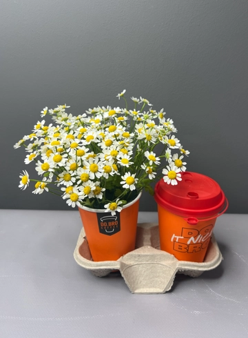 Ромашки с кофе «Капучино» от интернет-магазина цветов в 