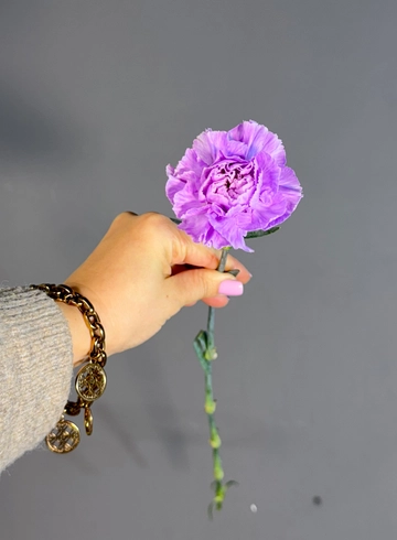 Диантус лавандовый от интернет-магазина цветов в 