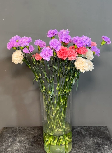 Гвоздика микс. от интернет-магазина цветов в 