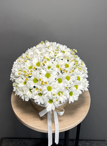 Корзинка кашпо «Ромашка» от интернет-магазина цветов в 