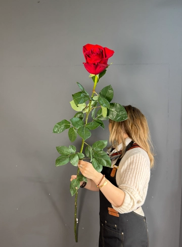Роза 180 см премиум эквадор от интернет-магазина цветов в 