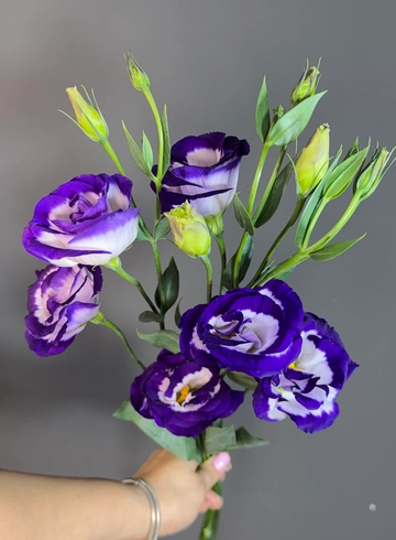 Эустома  от интернет-магазина цветов в 