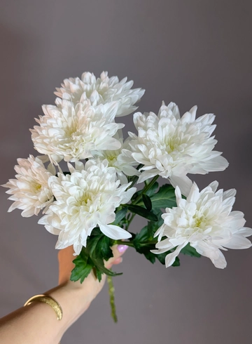 Хризантема кустовая &laquo;Балтика&raquo; белая от интернет-магазина цветов в 