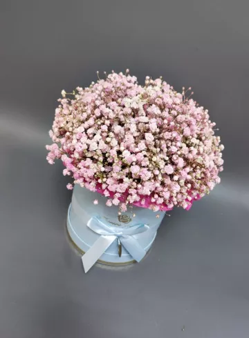 Розовая гипсафила в коробке от интернет-магазина цветов в 