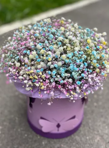 Коробо из радужной гипсофилы от интернет-магазина цветов в 