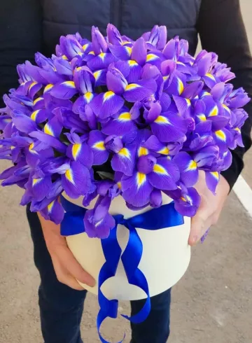 Короб цилиндр из 35 ирисов от интернет-магазина цветов в 