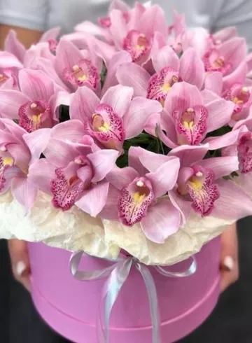 Короб цилиндр &laquo;РОЗОВАЯ ОРХИДЕЯ&raquo; от интернет-магазина цветов в 