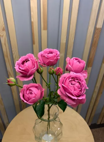 Мисти баблс от интернет-магазина цветов в 