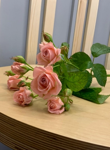 Кустовая роза  от интернет-магазина цветов в 