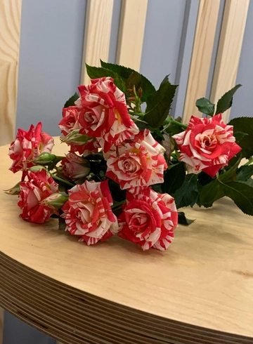 Кустовая роза «Фаерворкс» от интернет-магазина цветов в 