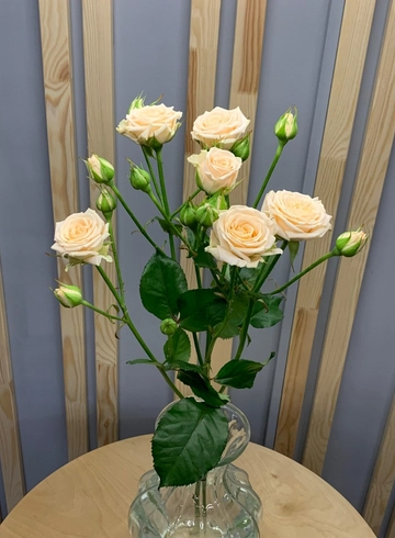 Кремовая кустовая роза от интернет-магазина цветов в 