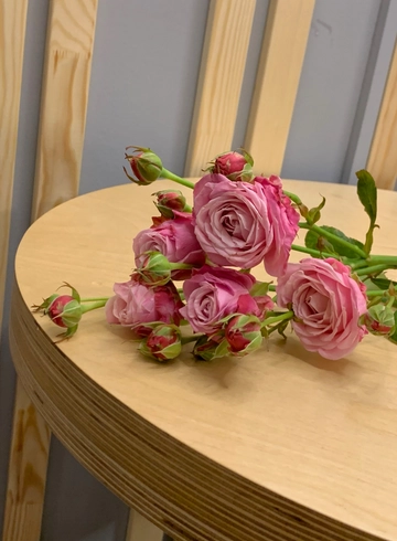 Кустовая пионовидная роза &laquo;Бомбастик &raquo; от интернет-магазина цветов в 